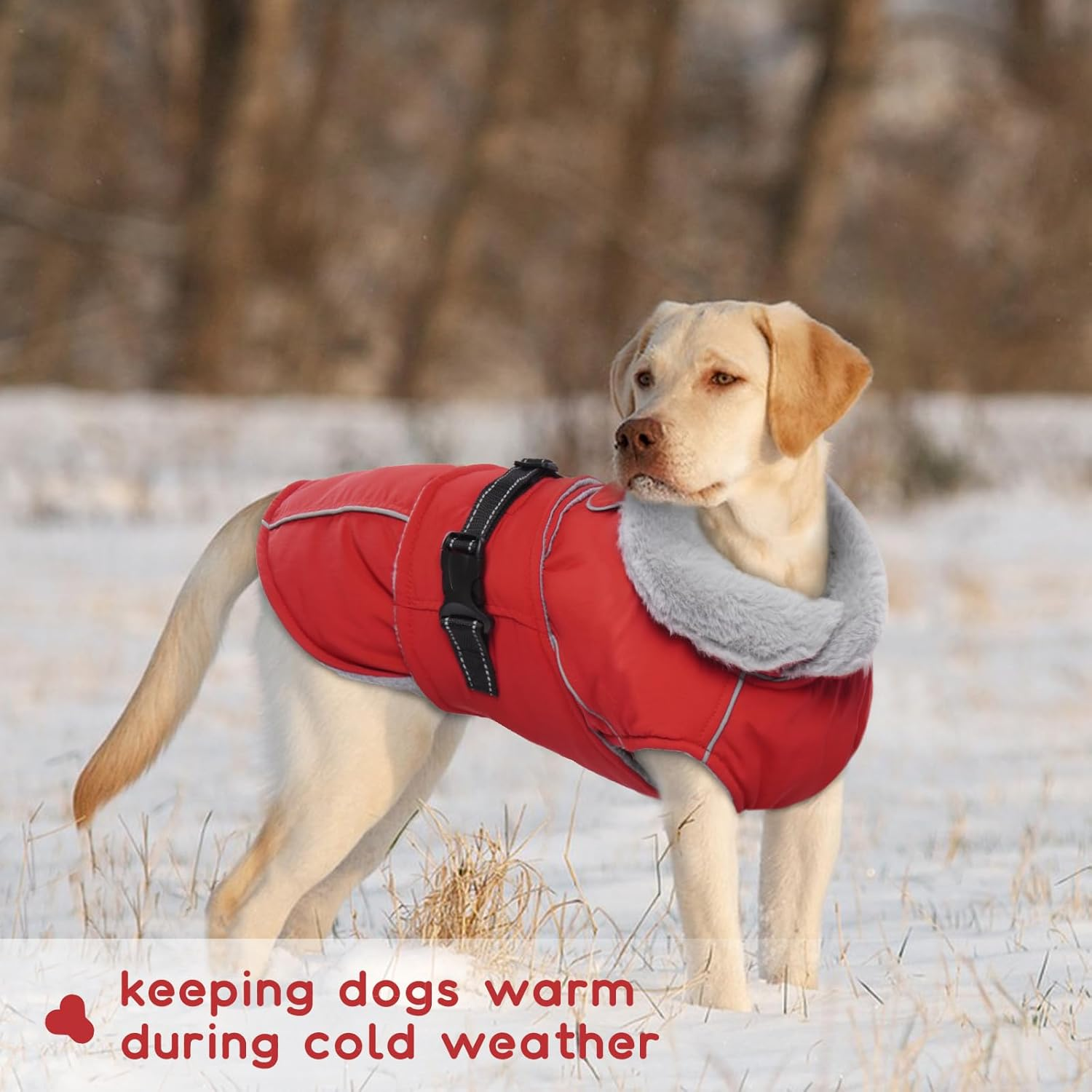 Fleece Winter Coat for Dogs, Dog Coat, Waterproof Dog Jacket, French Bulldog, Warm Vest, Adjustable Dog Clothing, Winter for Small Dogs (Red, 3XL)
