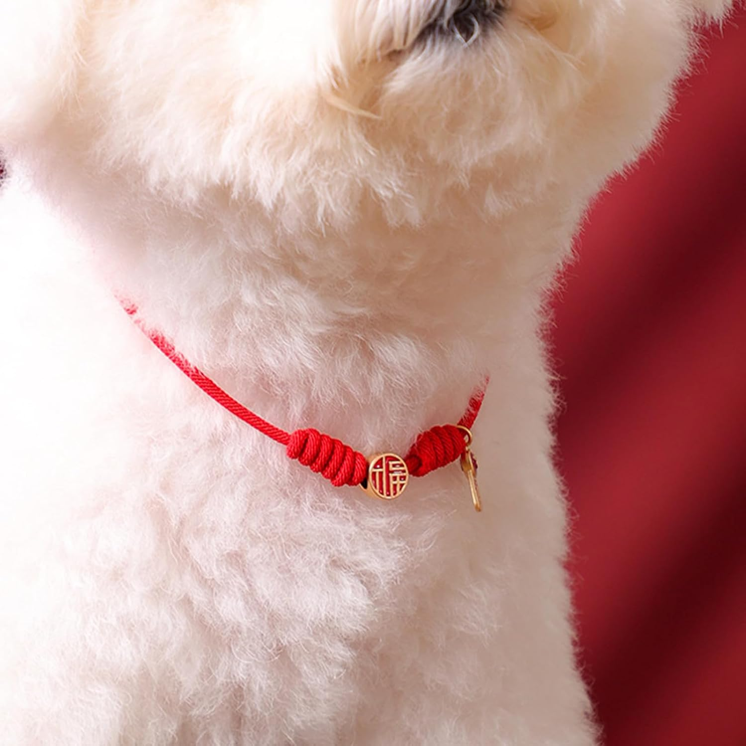 Knit Cat Collar, Handcraft Carefully Woven Adjustable Dog Collar Necklace with Bell, Wedding Cat Collar Pet Supplies Accessories for Girl Boy(S(1.5‑3.5Kg / 3.3‑7.7Lb)-Everything Is Going My Way) image number 5