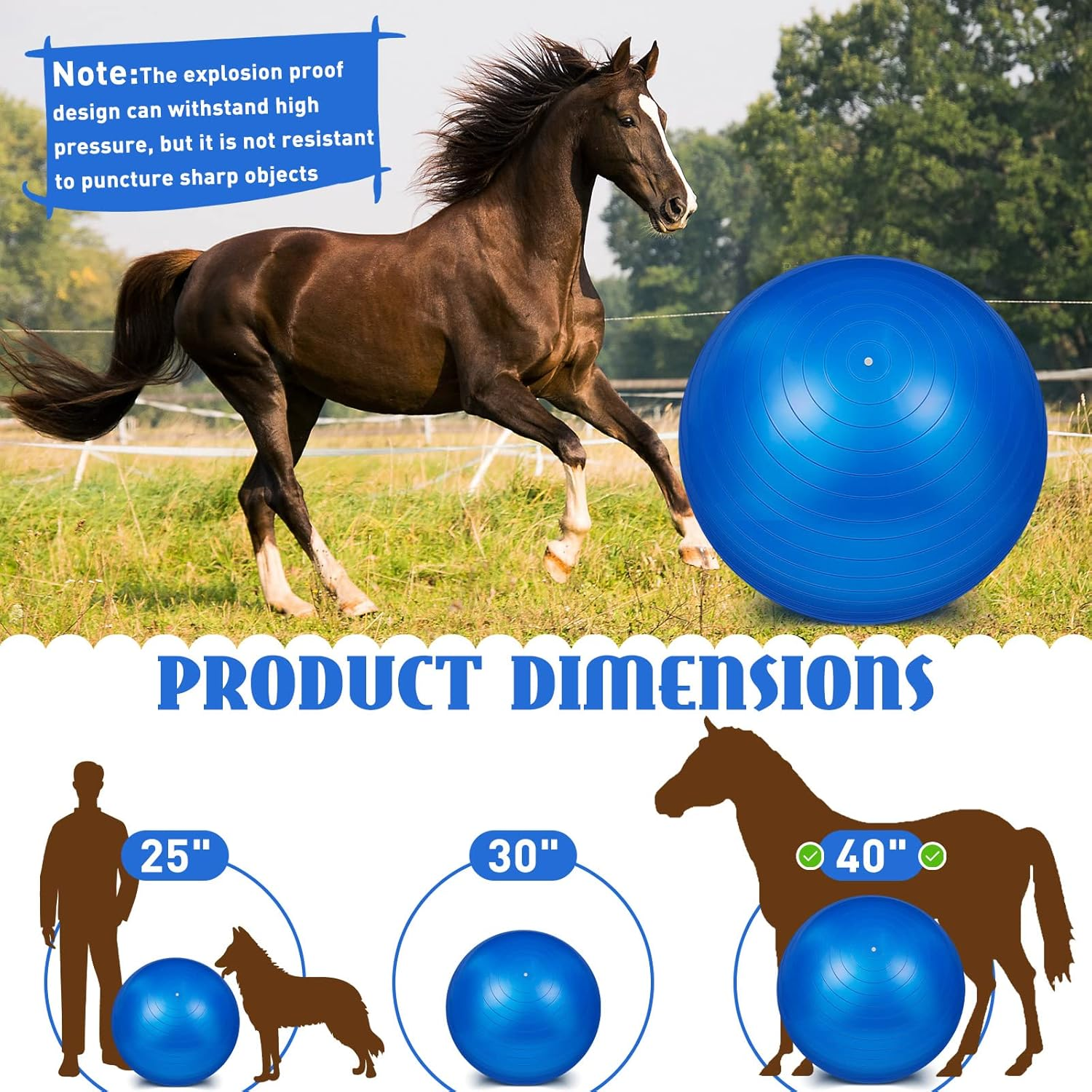 Sotiff 2 Pcs 40 Inch Horse Ball for Play Large Horse Ball Big Equine Herding Ball anti Burst Dog Soccer Ball Giant, Pump Included(40 Inch,Blue)