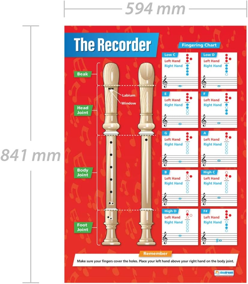 The Recorder | Music Posters | Gloss Paper Measuring 850Mm X 594Mm (A1) | Music Charts for the Classroom | Education Charts by Daydream Education image number 2