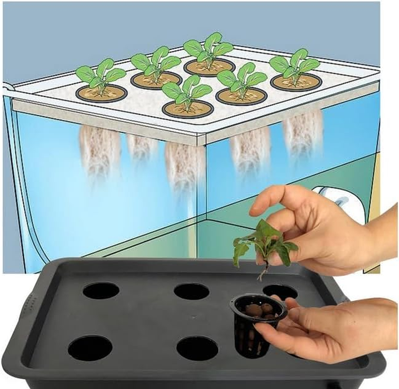GROZY Hydroponics DWC Growing System 6/8/11 Net Pots Rooting Seedling Propagation Kit, Medium Size W/Airstone, Air Pump, Rockwool - Best Indoor Herb Garden for Lettuce, Mint, Parsley(Black) image number 3