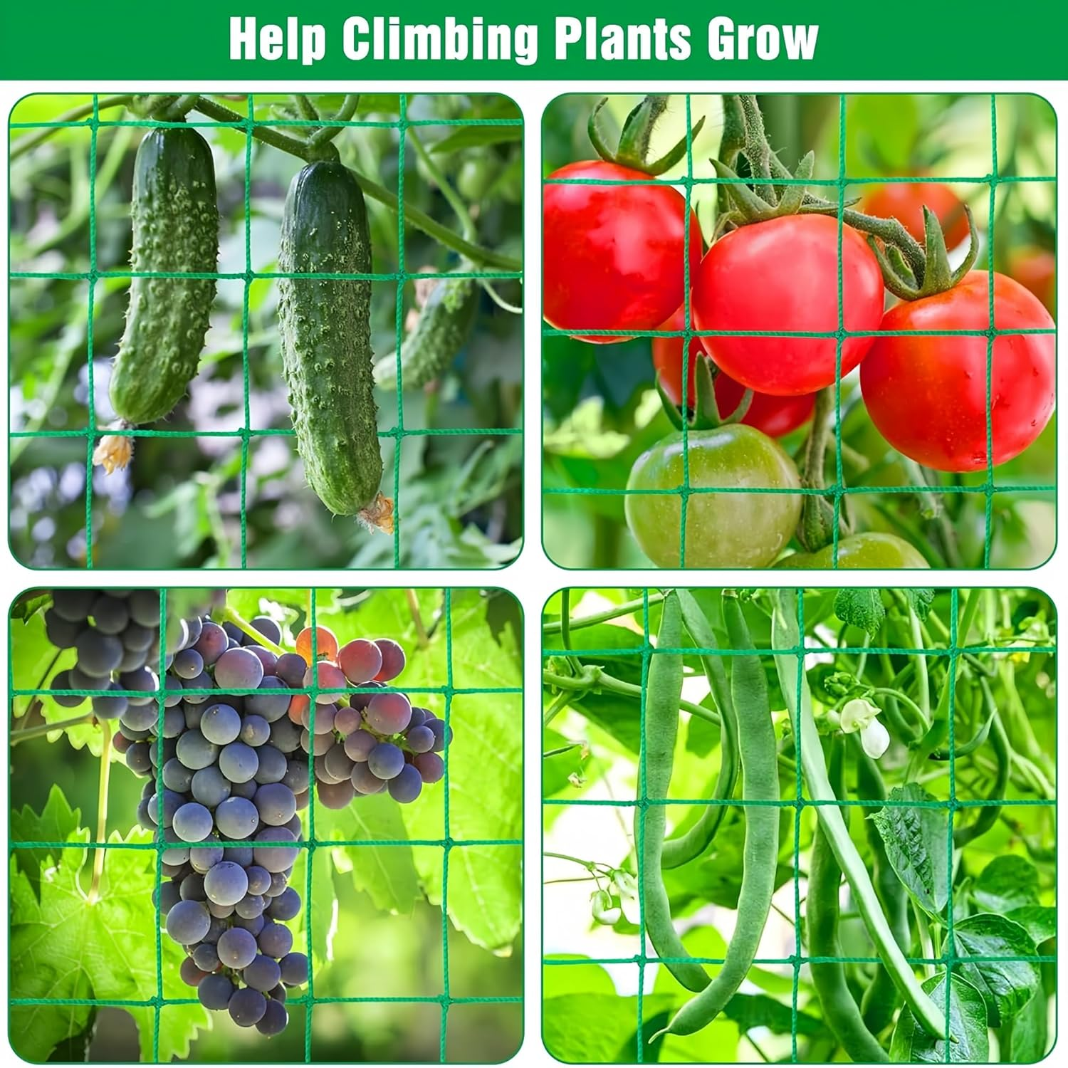 Trellis Netting for Climbing Plants,Heavy Duty 6.6X16.4Ft Garden Trellis Net - 27 Strands & 4X4In Mesh for Cucumbers, Vines, Tomatoes, Fruits & Vegetables | Durable Support for Climbing/Vining Plants image number 2