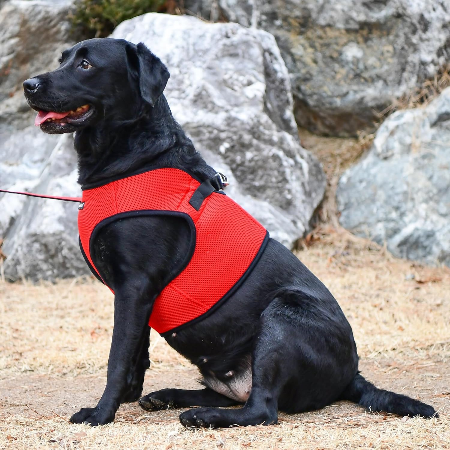 Puppia Soft Vest Dog Harness, Red, X-Large image number 5