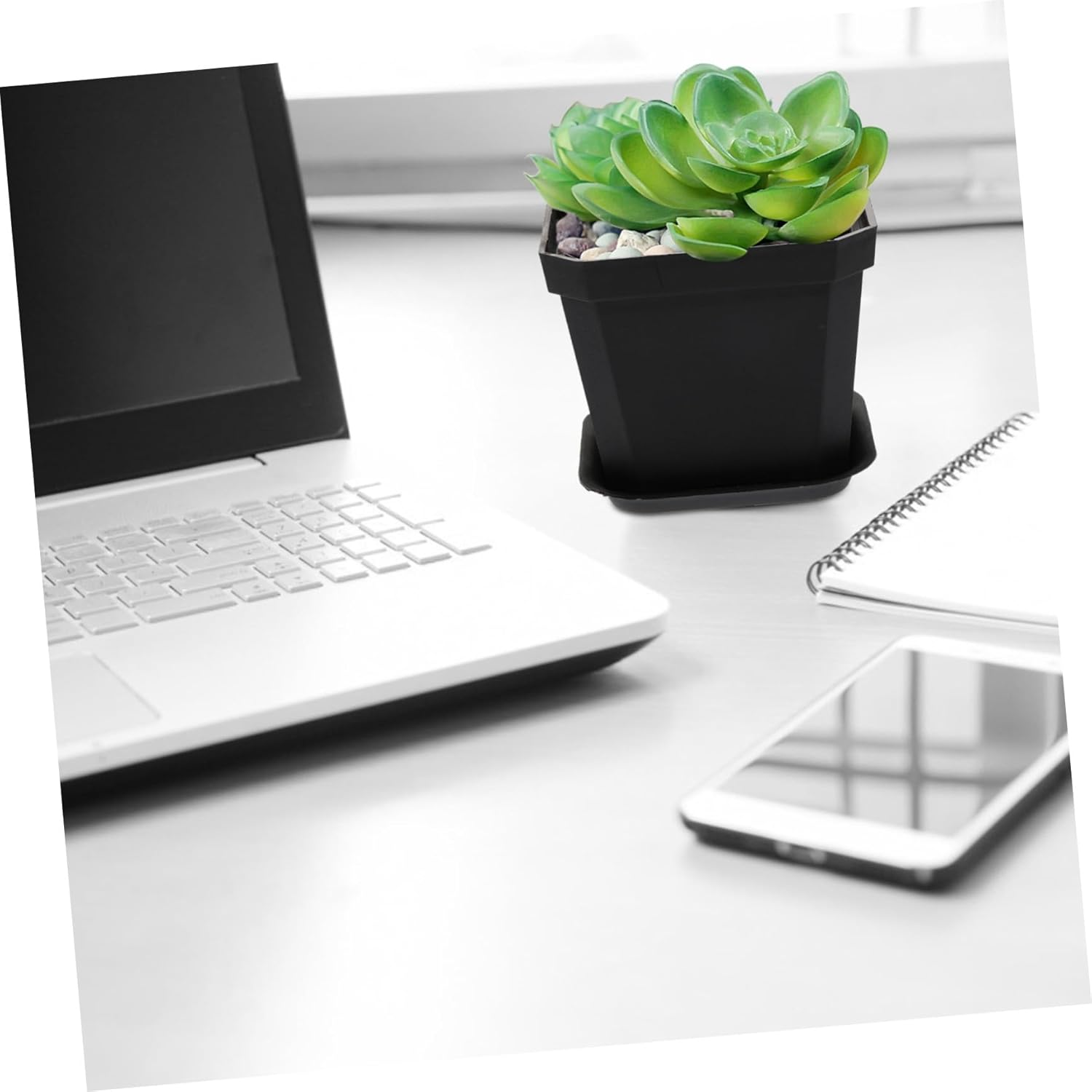 SUPVOX 10 Pcs Mini Succulent Flower Pots Plastic Plant Pots with Tray Thickened Seedling Containers for Plants Ferns Indoor Gardening - White image number 4