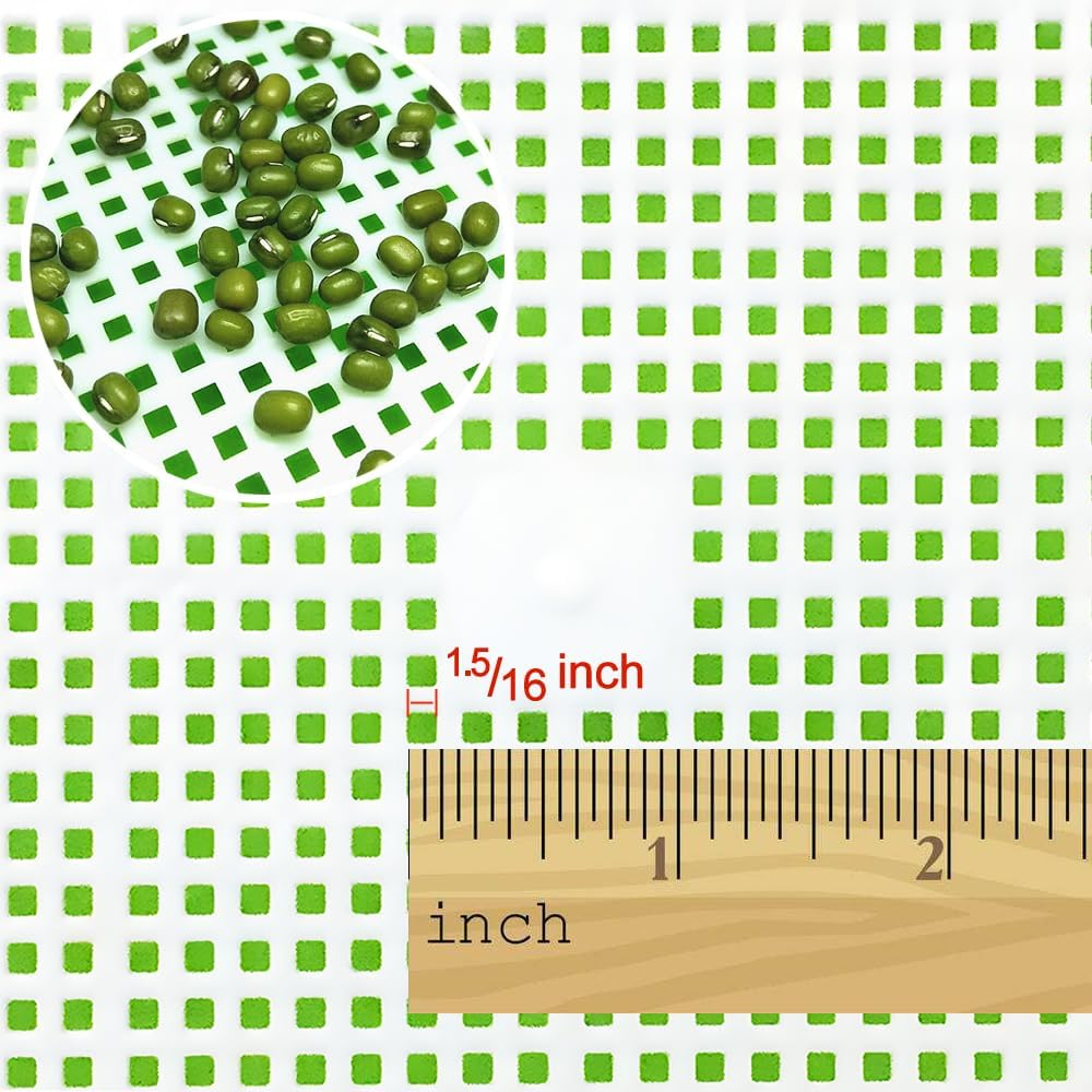 Lejoy Garden Seed Sprouter Tray BPA Free PP Soil-Free Big Capacity Healthy Wheatgrass Grower with Lid Sprouting Kit 13.4X9.84X4.72 Inches,Green image number 3