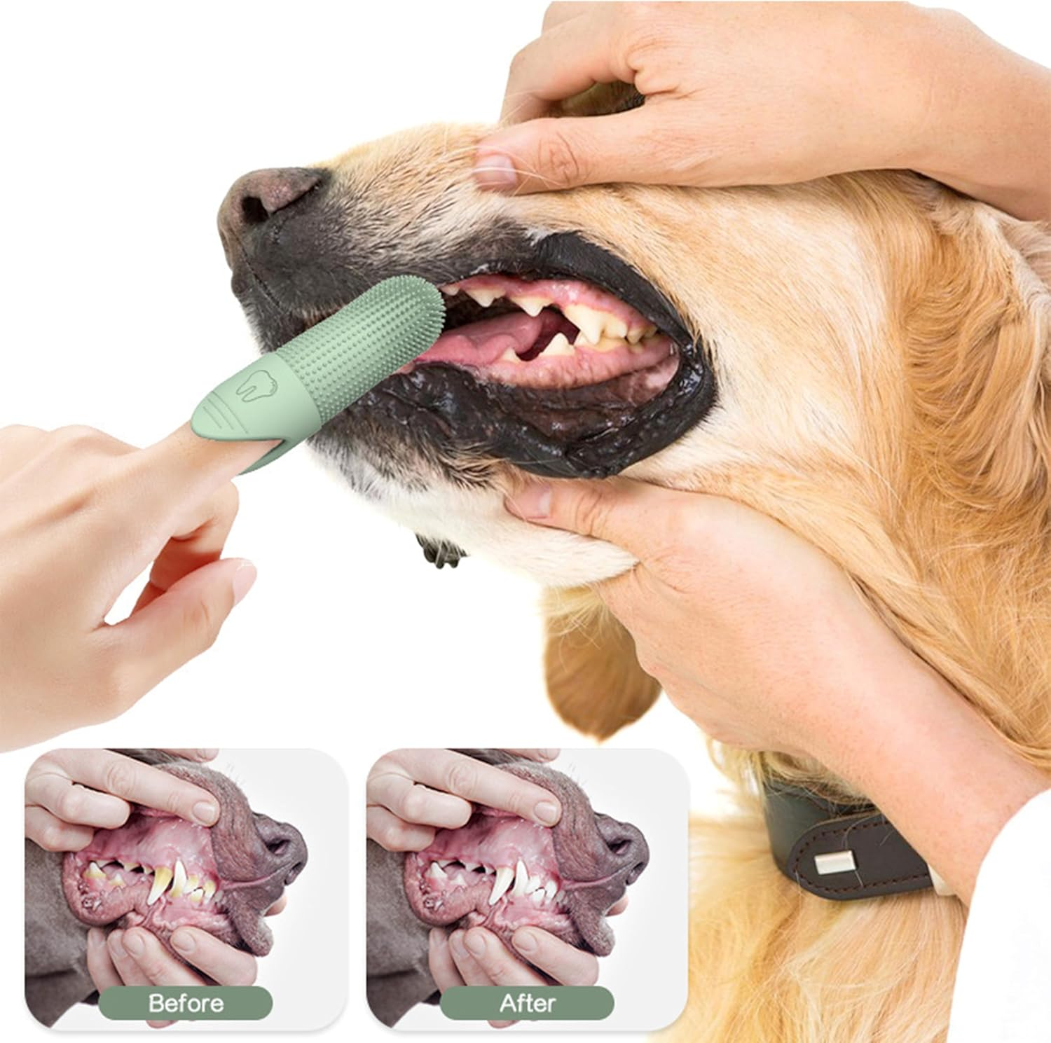 Pet Dental Care Kit, 4-Pack Silicone Finger Toothbrushes for Dogs and Cats, Ultra-Soft image number 6