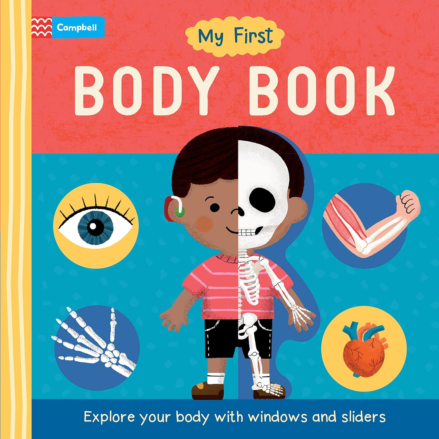 My First Body Book: Explore Your Body with Windows and Sliders image number 3