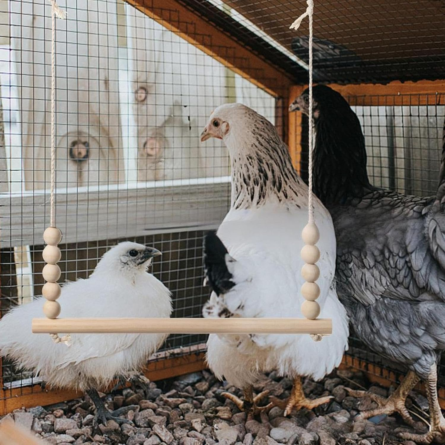 Chicken Swing - Wood Chicken Swing Toy | Perch Ladder Safe Play Enrichment Interactive Climbing Equipment for Backyard Farm Poultry Parrots Hens Rooster image number 1