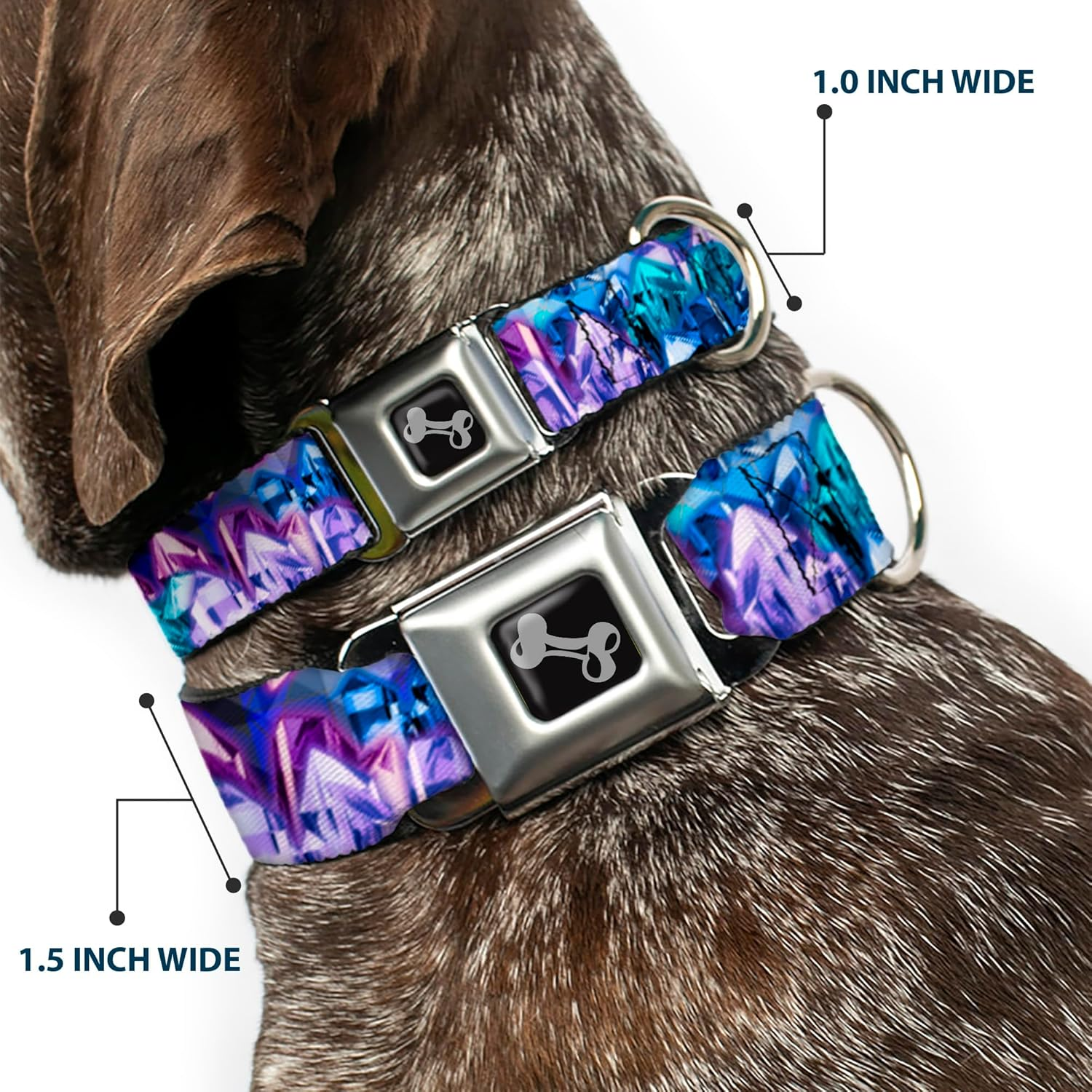 Buckle-Down 9-15" Crystals2 Blues/Purples Dog Collar Bone, Small image number 6