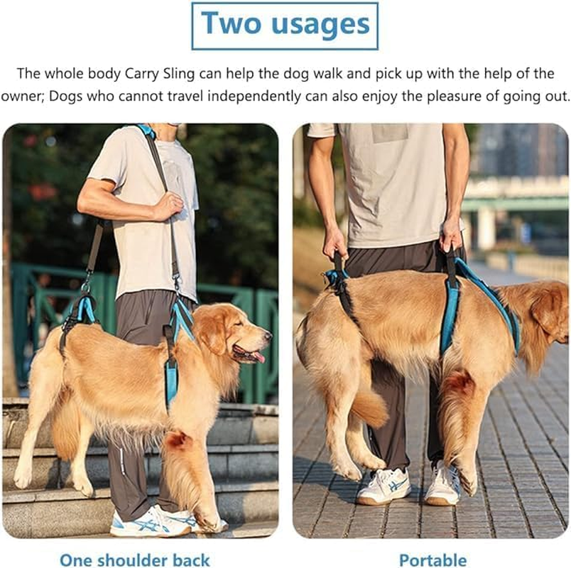 Pet Dog Carry Sling Pet Legs Support Rehabilitation Lift Harness for Disabled Injured Elderly Dog Joint Injuries Arthritis Blue (S)