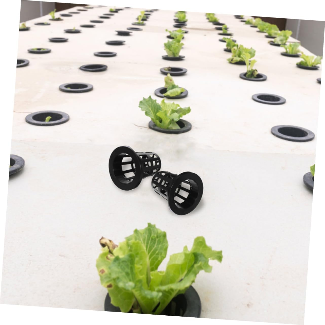 TOYZFRIENDY 50Pcs Root Control Planting Basket Plastic Hydroponic Pots Net Cups for Orchids Hydroponic Gardening System image number 5