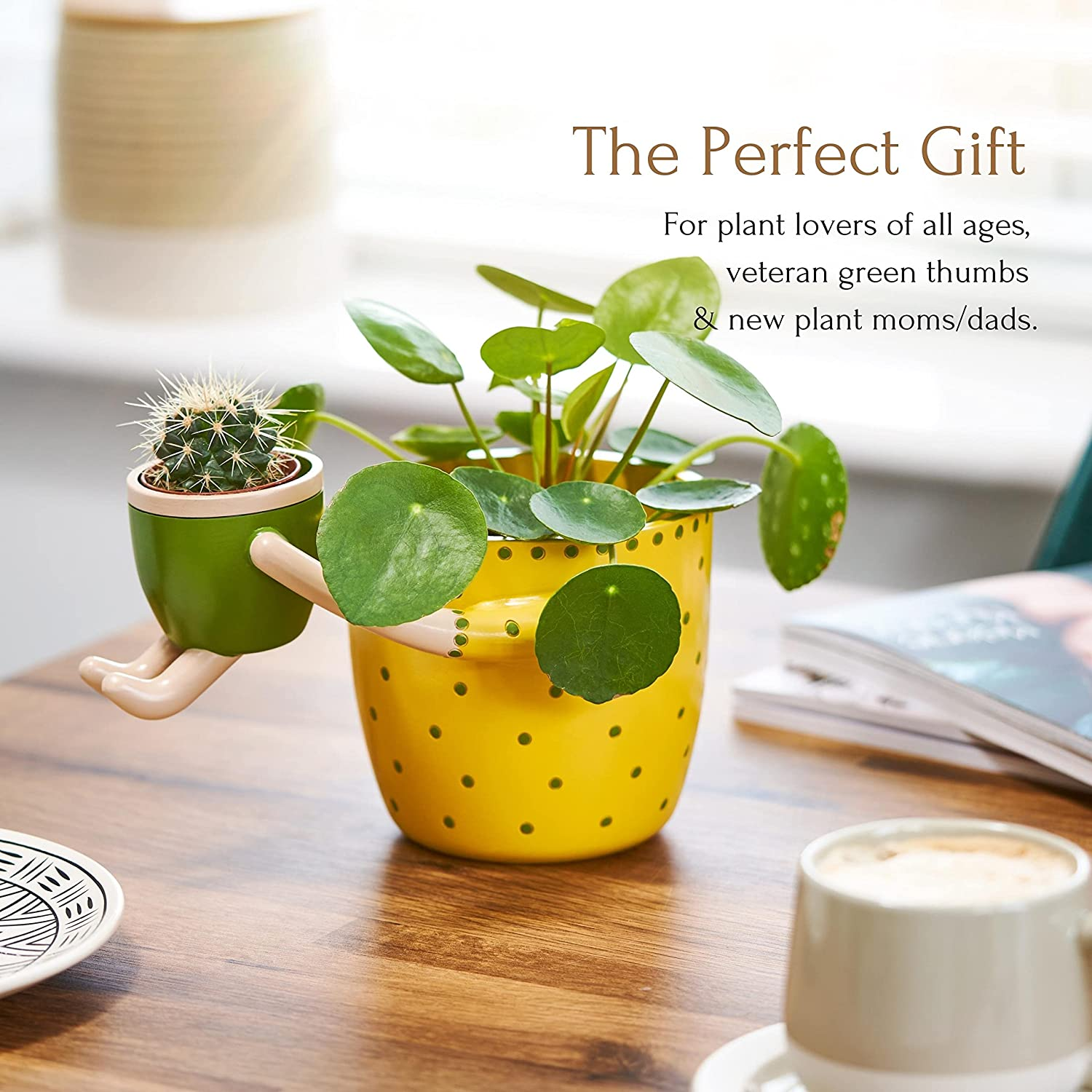 VIRTUNE Adorable Indoor Plant Pots. 5" Flower Pot & 2" Small Succulent Pot with Drainage. Indoor Planters, Small Plant Pots Indoor, Cute Pots for Indoor Plants, Succulent Planter (Light Yellow) image number 5