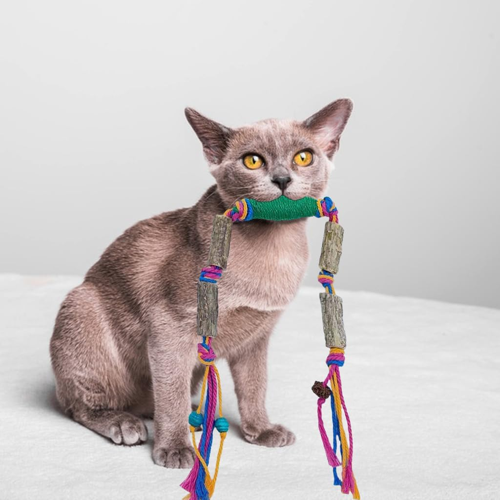 Diiwmme Catnip Toy Bite Rope,Interactive Cat Toy for Indoor Cats Kitten Natural Cat Chew Toy Kitten Teething Toys Cotton Rope Catnip Toys for Teeth Cleaning & Stress Release,55 CM (Green) image number 2