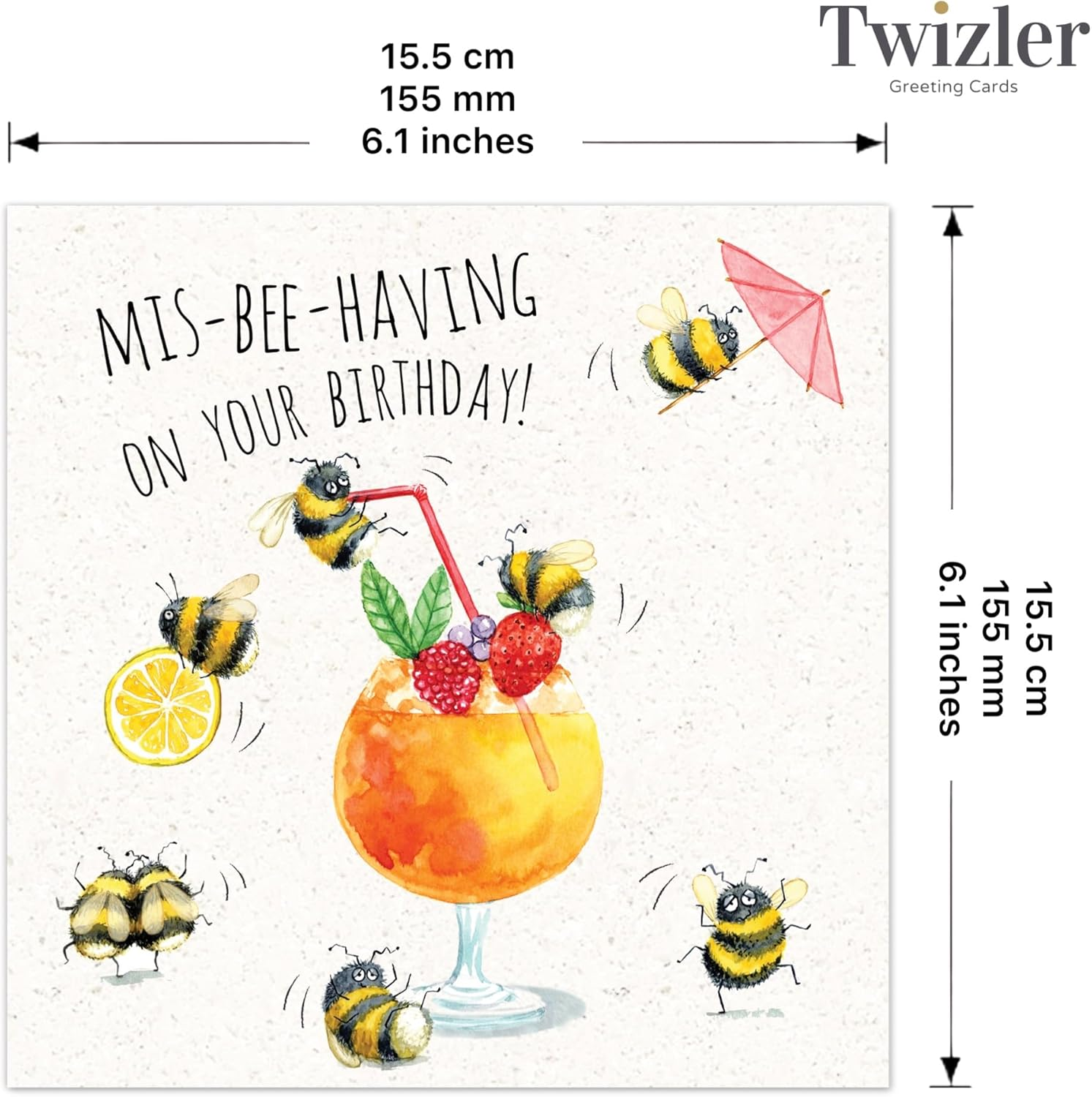 Twizler Funny Birthday Card Mis-Bee-Having - Funny Card for Women - Happy Birthday for Her - Party Girl Birthday - Animal Humour - Blank Inside