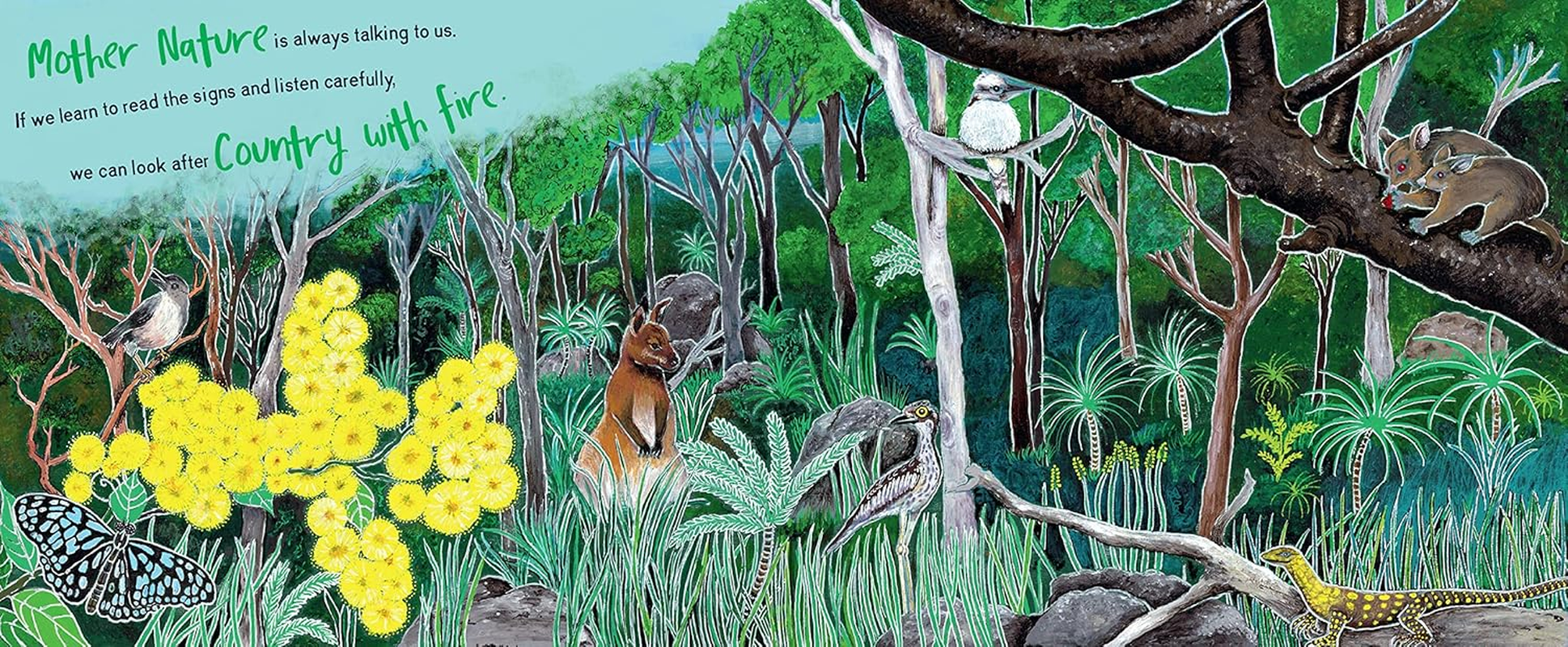 Looking after Country with Fire: Aboriginal Burning Knowledge with Uncle Kuu image number 5