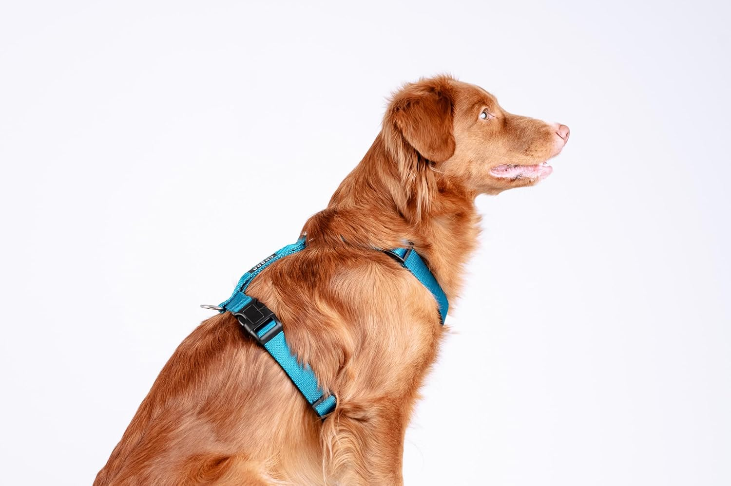 Chaba Guard Dog Harness for Large Dogs with Control, Anti-Pull & Choking, Adjustable, Comfortable and Lightweight, Classic Step-In Chest Harness, Running Harness, Size XL, Sea image number 2