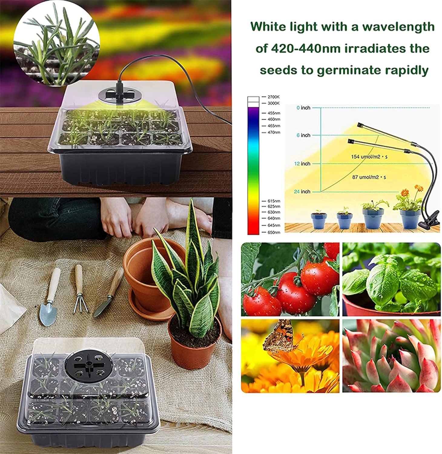 5 Pack Seed Starter Tray with Grow Light Humidity Domes, 60 Cell Trays Germination Station Cloning Kit (Green) - Green image number 5