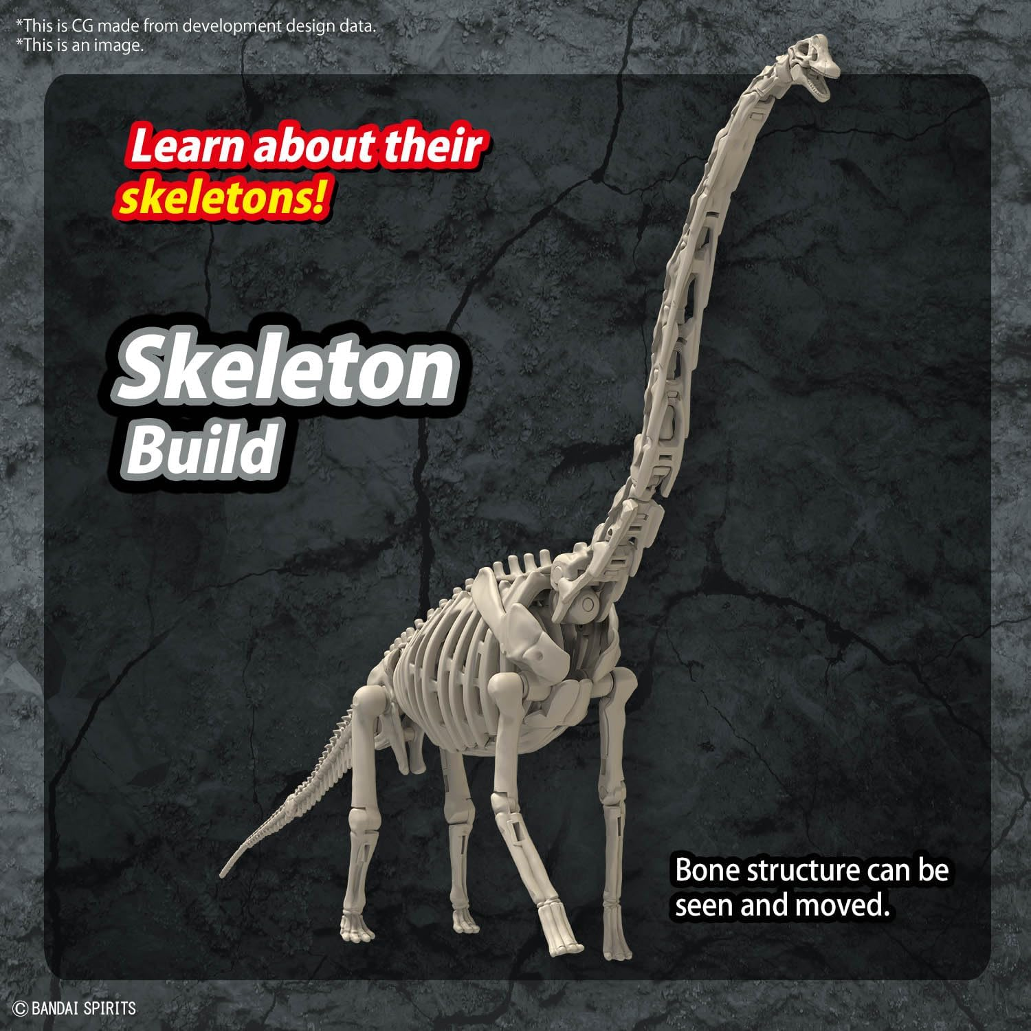 BANDAI Hobby KIT PLANNOSAURUS Brachiosaurus image number 6