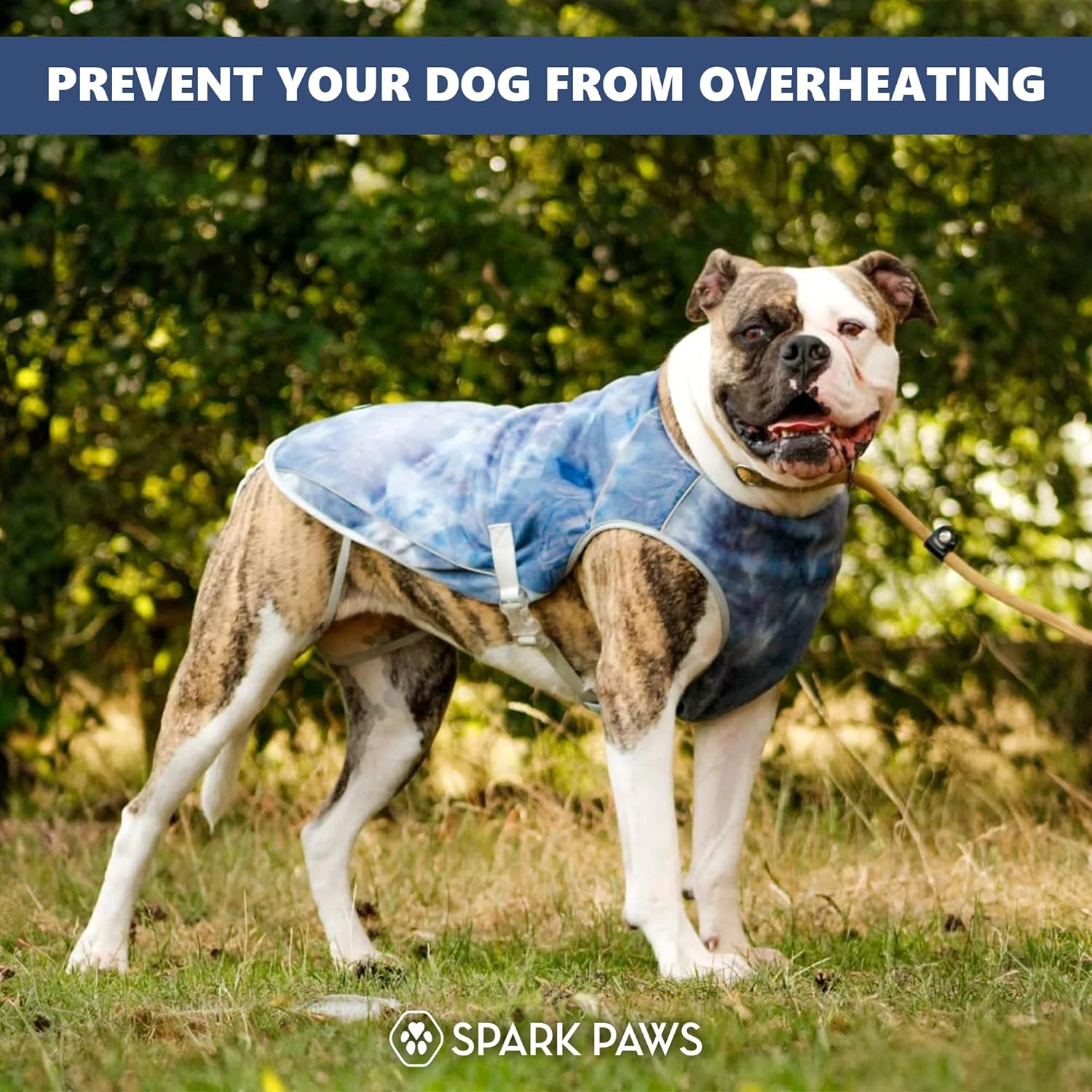 Spark Paws Chilltech&trade; Dog Cooling Vest - Cooling Effect - Lightweight Materials - SPF 50 UV Protection - Ice Blue, XL image number 6