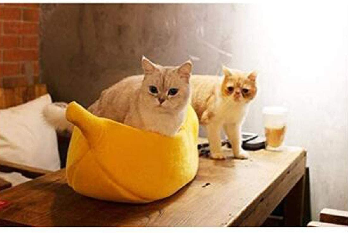 QKWSUGER Cute Banana Cat Bed House Large Size, Pet Bed Cave Soft Cat Cuddle Bed, Lovely Pet Supplies for Cats Kittens Bed, Yellow (Yellow M) image number 5