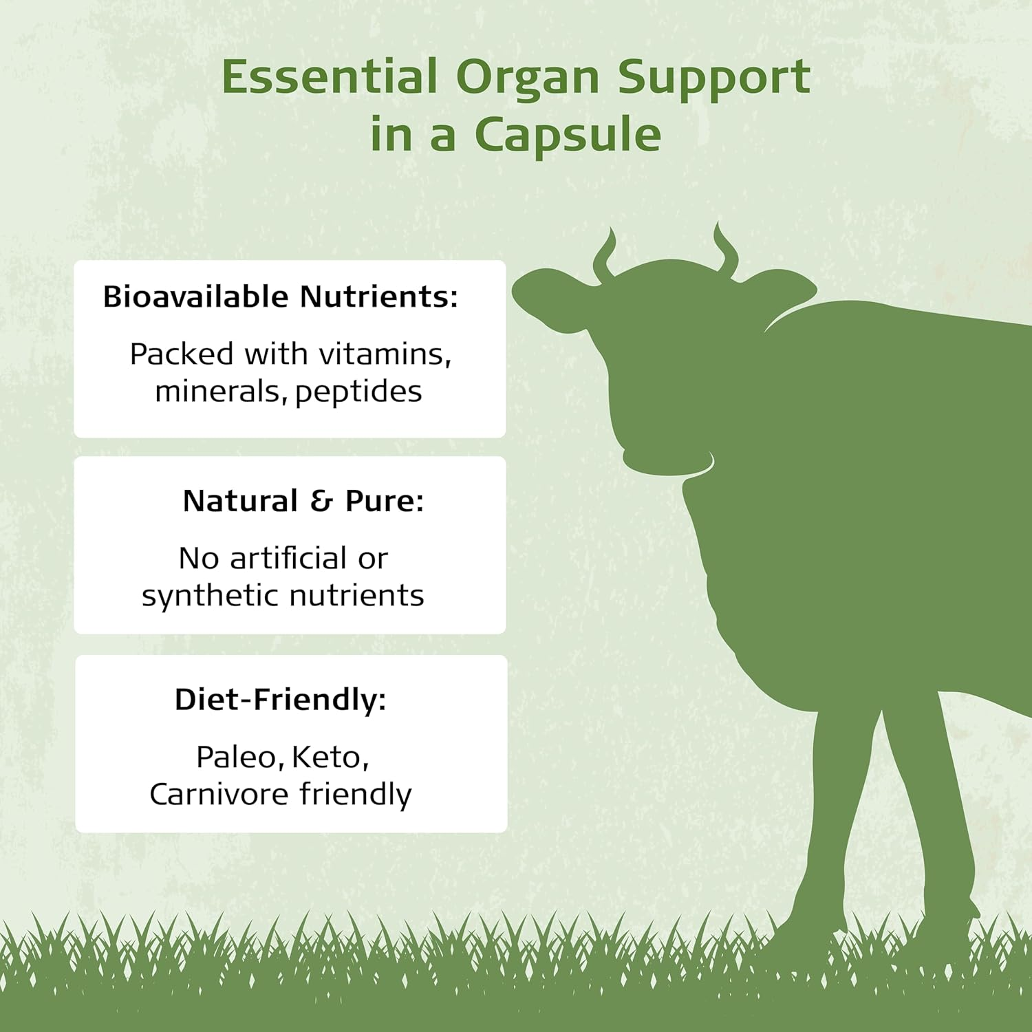 Beef Kidney Capsules | Regenerative Grass-Fed & Finished | Natural DAO, Selenium, Iron, B12 | Skin, Hair, Nails, Allergies | 120 Capsules image number 4