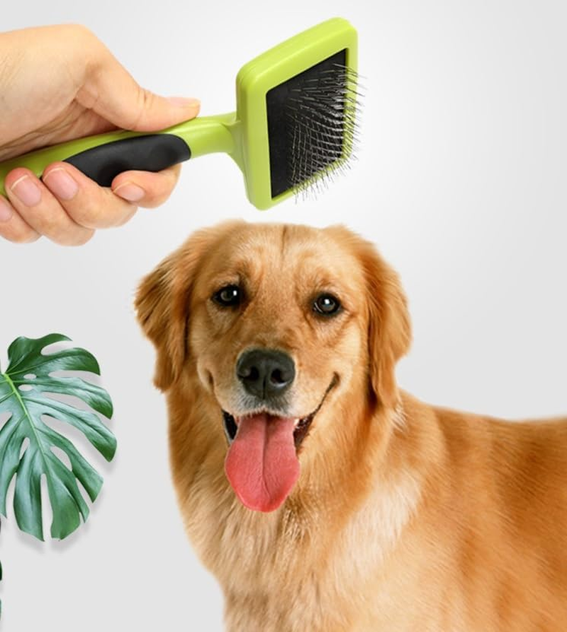Pin Dog Slicker Brush for Dogs Poodles,Dog Grooming Brushes for Medium & Long Haired Dogs Labradoodles,Softens and Shines Pet Hair,Removes Loose Hair (Green, One Size) image number 5