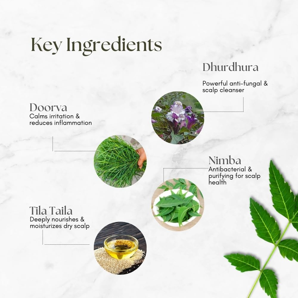 Atrimed Scurfol Anti-Dandruff Shampoo | an Ayurvedic Formula by Plant Scientists | Non-Sticky & Easy to Wash | 300Ml | Pack of 3 | Dandruff Control | Ayurvedic Shampoo