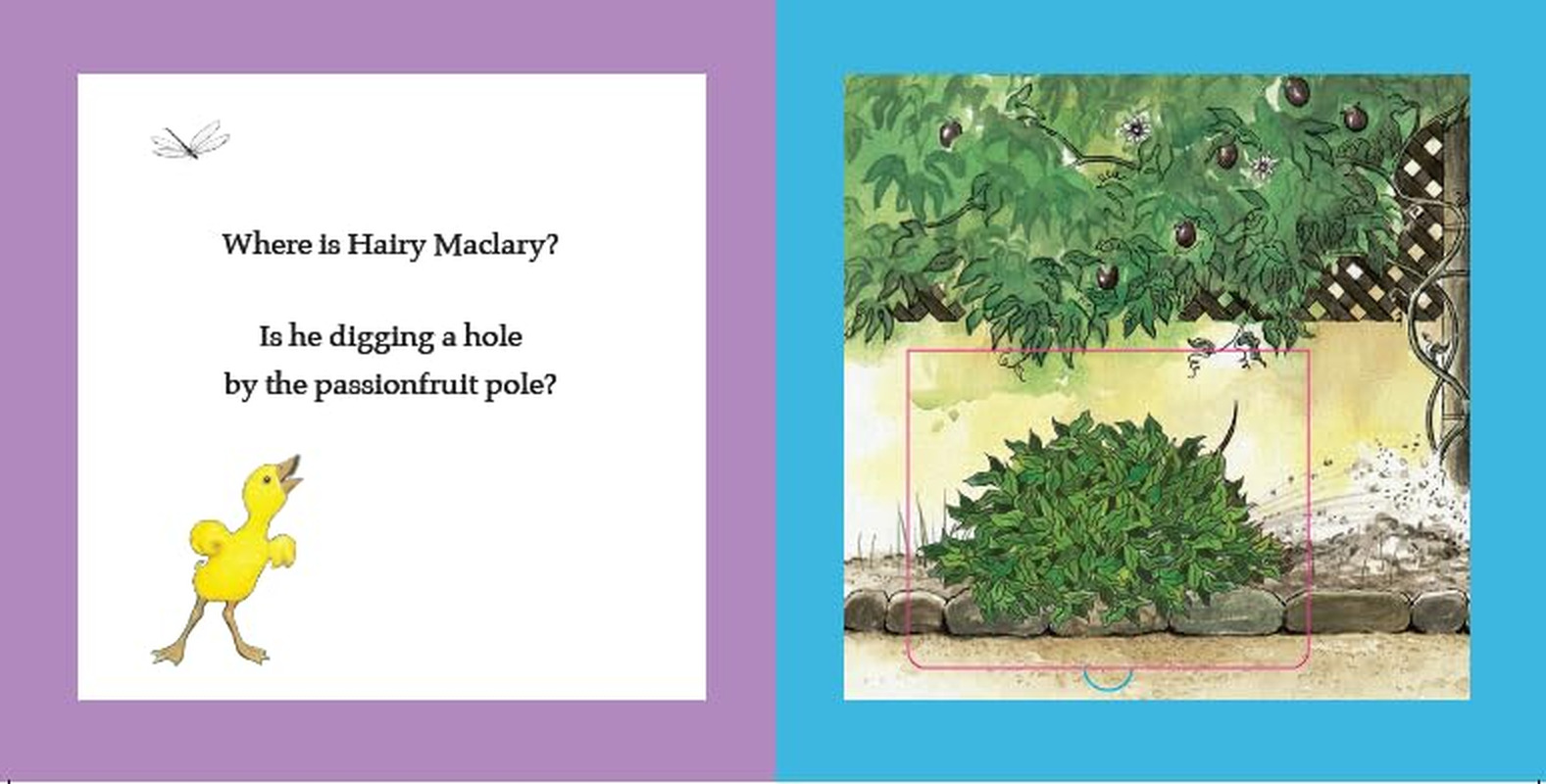 Where Is Hairy Maclary? a Lift-The-Flap Book