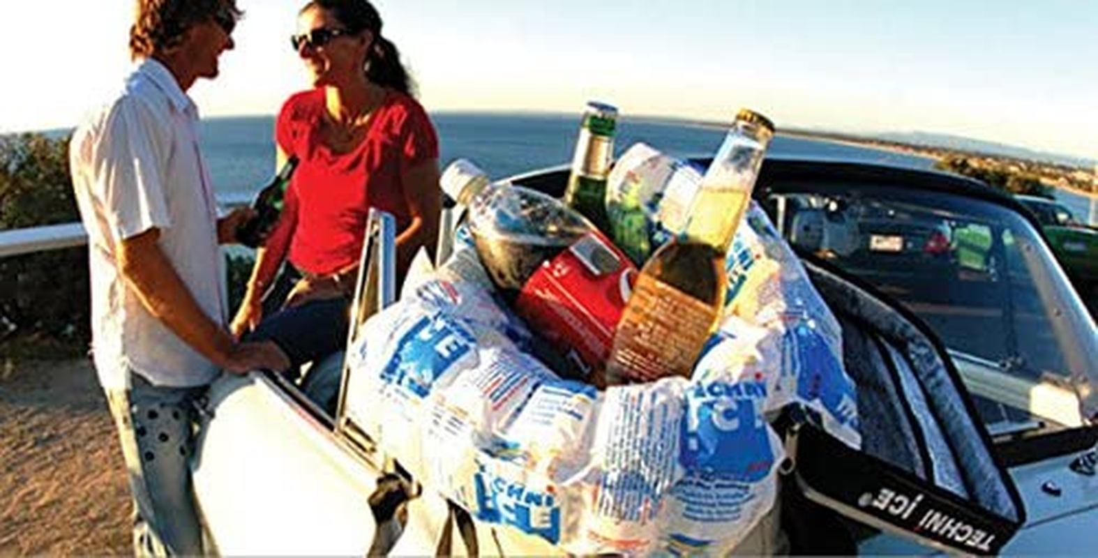 Techni Ice Heavy Duty Reusable Dry Ice Packs (12 Packs) image number 1