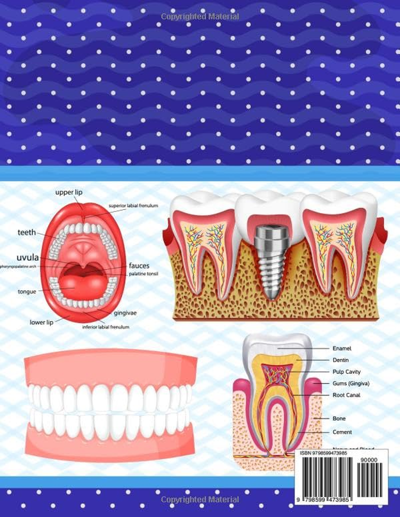 Dental Anatomy Coloring Book: Tooth Anatomy Coloring Work Book for Medical and Nursing Students. Children'S Science Books. Dental Anatomy Coloring ... Dental Assisting & Hygienist Coloring Book