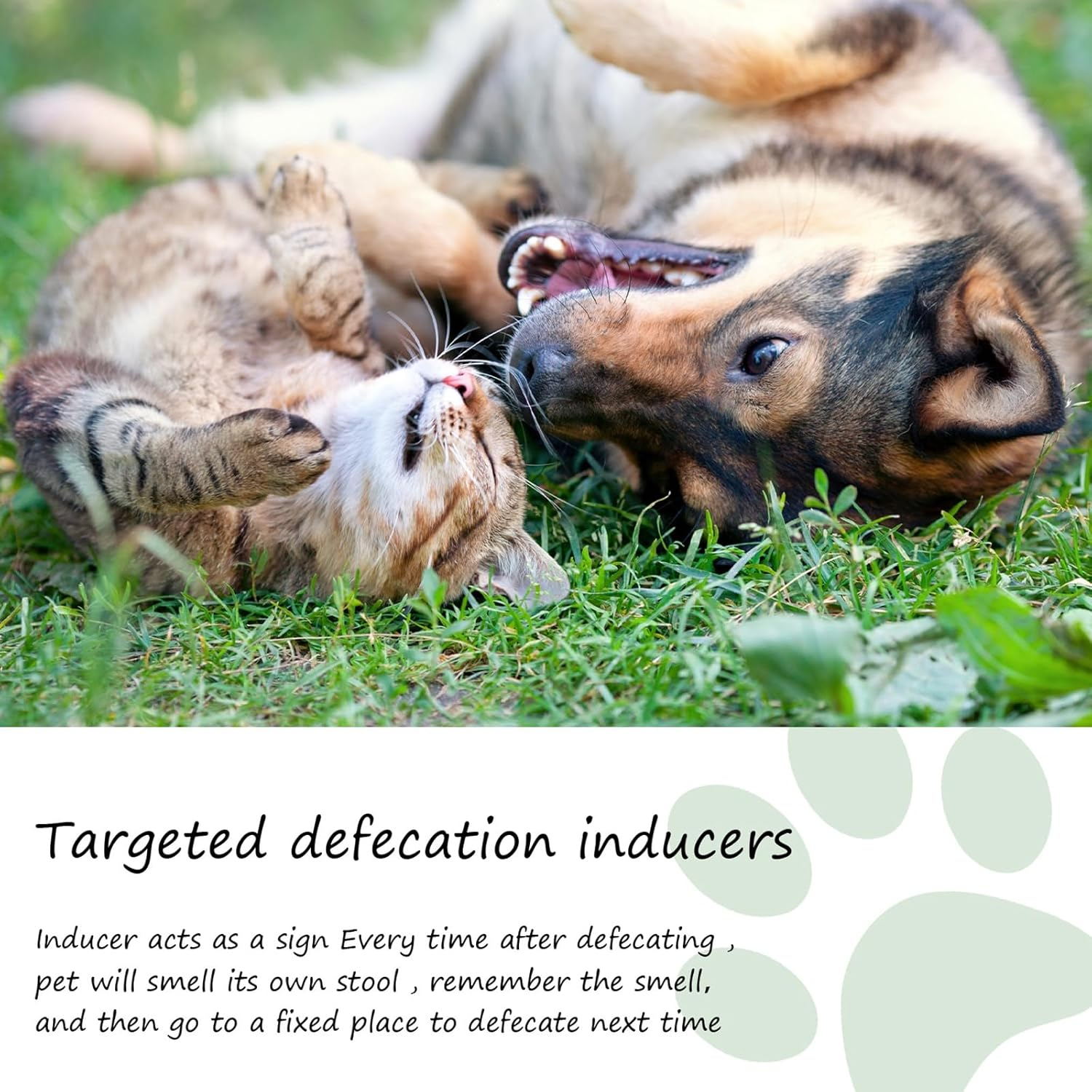 Dog Potty Training, Potty Training Spray for Dogs, Dog Pee Spray Training, Attractant Spray for Dogs Helps, Dog Toilets Training Aid for Indoor and Outdoor Use, Potty Here Training Spray image number 3