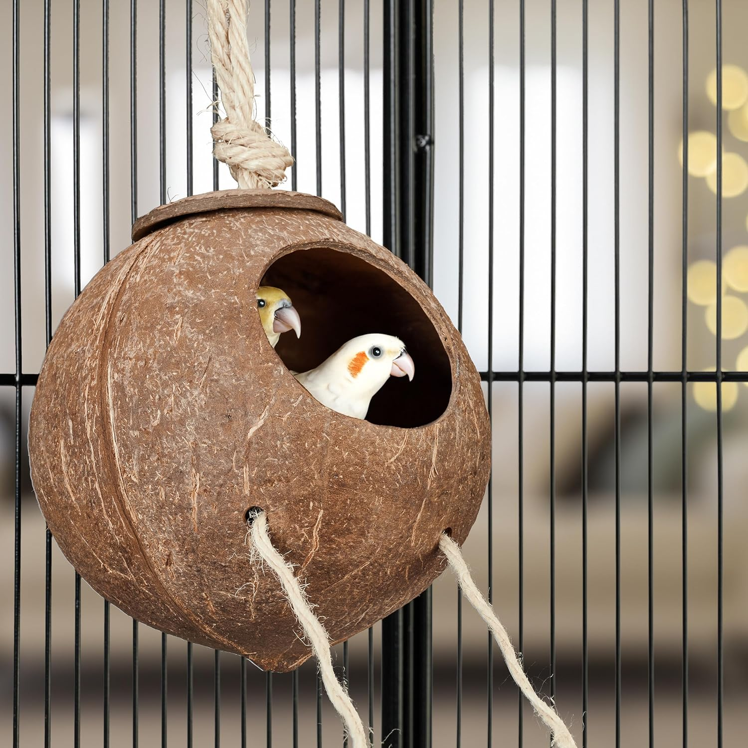 Relaxdays Bird Toy Wooden Ladder Coconut Shell Bird Cage Accessories for Budgie Canary Bird Nest Natural 1 Piece