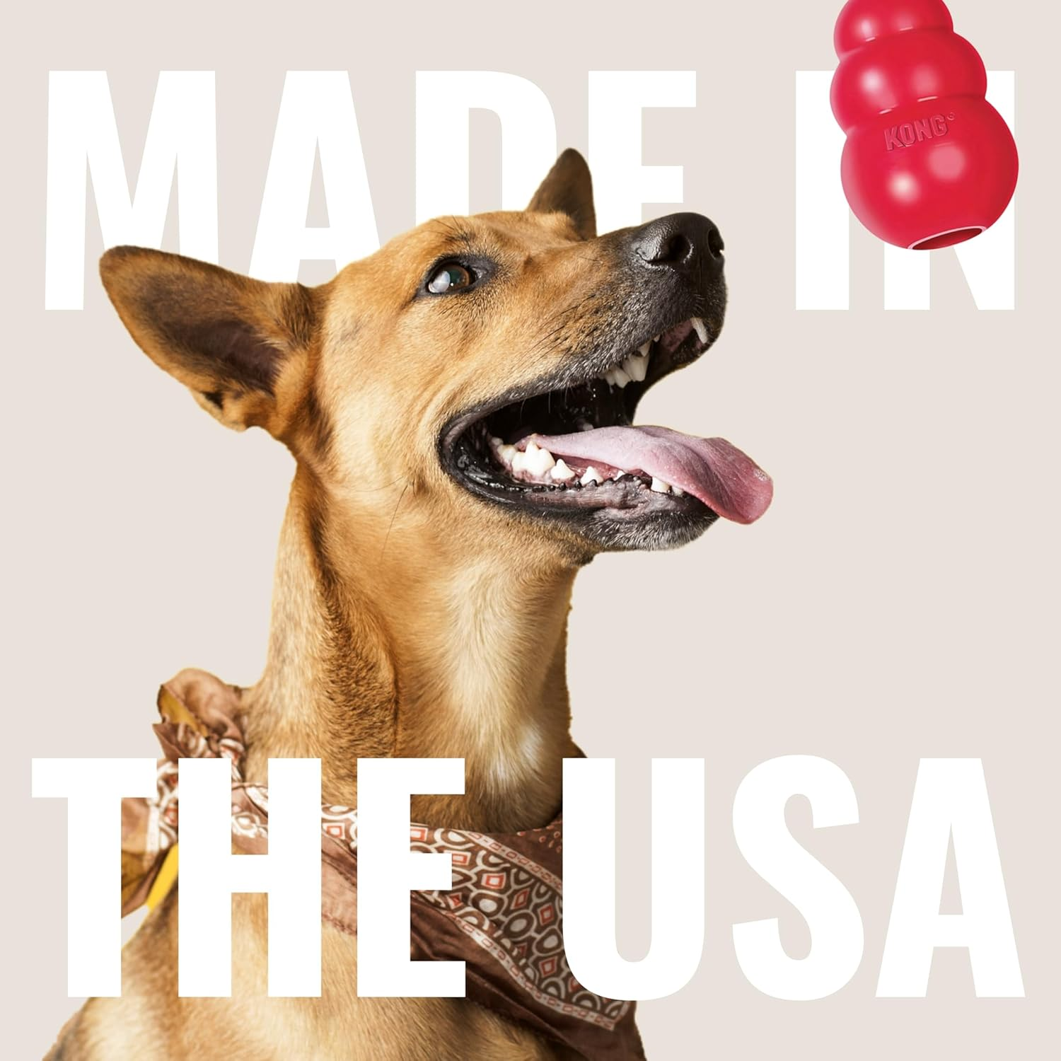 KONG - Extreme Goodie Bone - Durable Rubber, Teeth and Gum Cleaning Dog Toy - for Medium image number 2