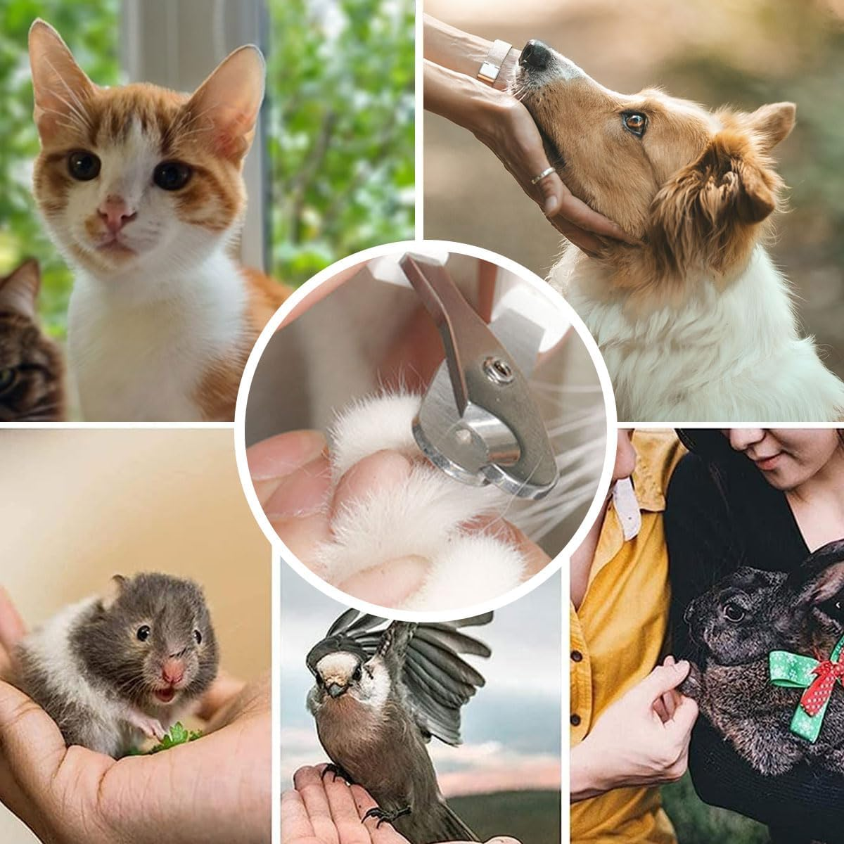 Toulifly Cat Claw Scissors, Stainless Steel Cat Nail Clippers, Nail Scissors for Kittens, Safety Double Circular Hole Pets Cat Nail Scissors, for Beginners, Blue, 2 Pieces image number 2