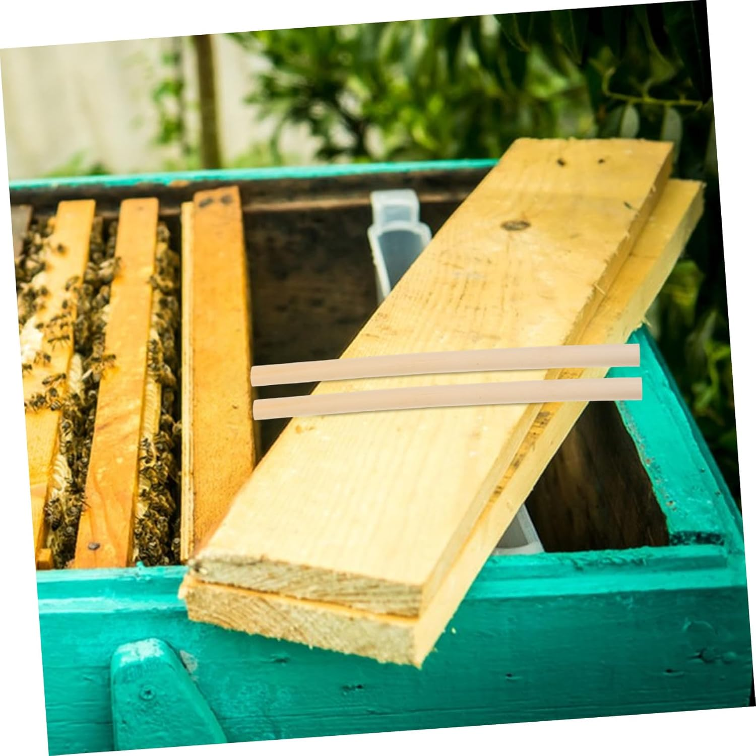 Gatuida 300 Pcs Natural Reed Bee Tubes Pollinator Nesting Tubes for Beekeepers Garden Balcony Courtyard Refill Replacement Essential DIY Beehive Inserts image number 2