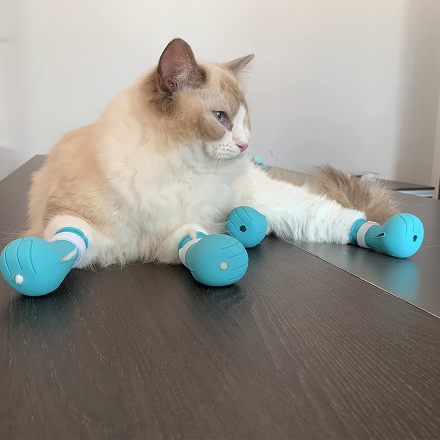 Cat Muzzle and Boots,Helmet for Grooming,Adjustable Hood Bubble Muzzle, Breathable anti Bite Air Muzzles,Silicone Claw Covers, Anti-Scratch Shoes,Paw Protector for Bathing image number 4