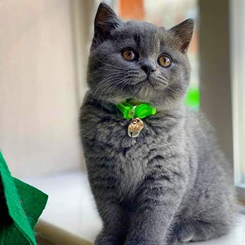 Hound & Yard Extra Loud Pair of Cat Dog Collar Bells Charm image number 3