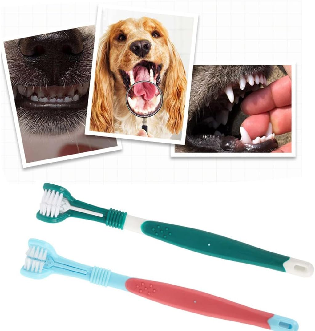 Pet Toothbrush Pack - 4 Toothbrushes for Dogs & Cats: 2 Triple Head & 2 Long Handle image number 4