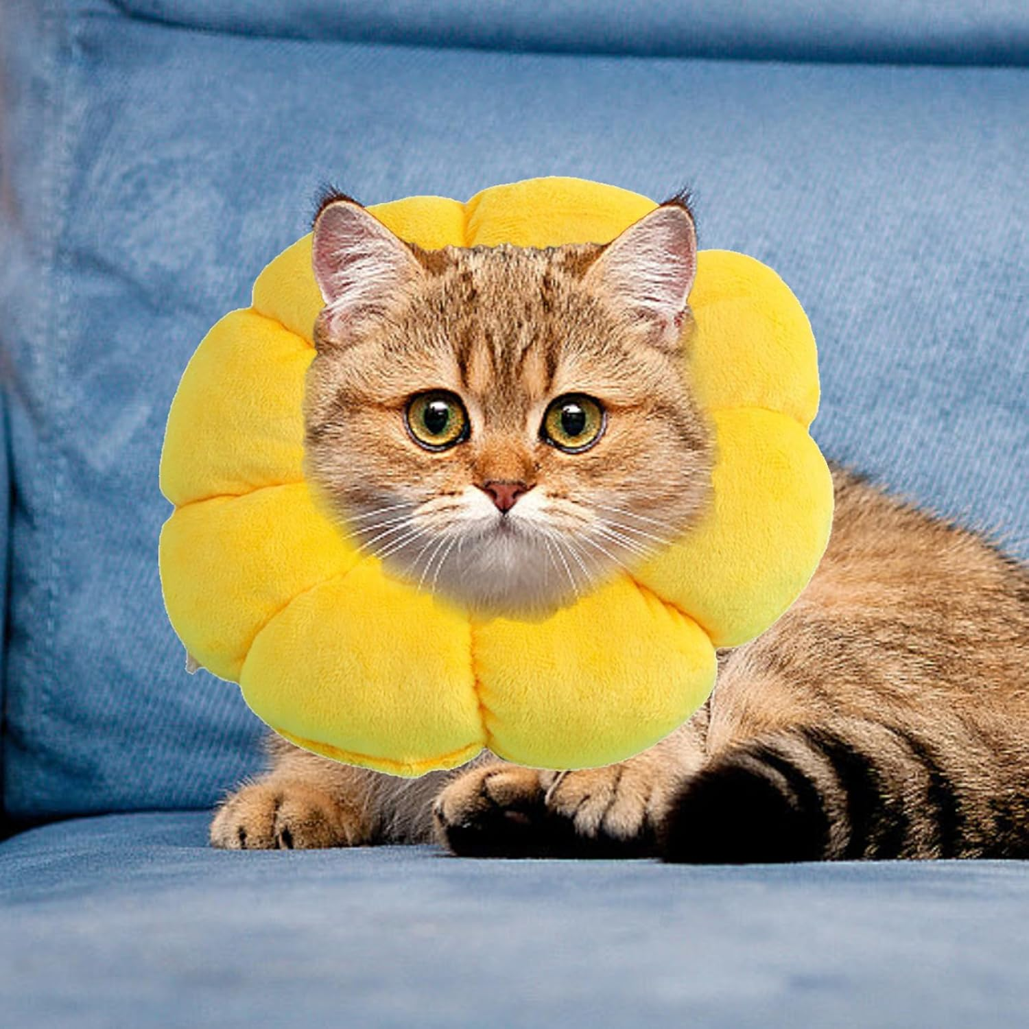 Sunflower Cat Collar, Cat Collar, Cat Collar, Soft Cat Collar, Cat Collar, Leak Protection Cat, Collars for Cats, Collar Cat, Suitable for Dogs and Cats after Surgery image number 2