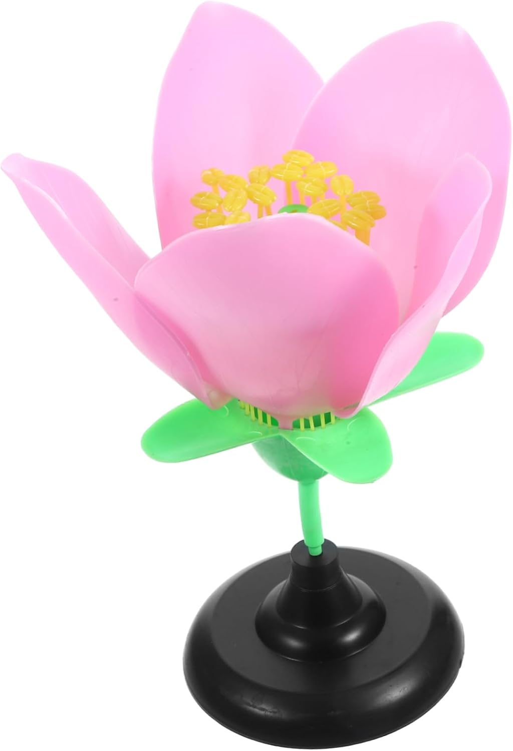 VILLFUL Floral Plant Model Flower Model Biology Teaching Aid Lightweight Blossom Toy for Boys and Girls image number 5