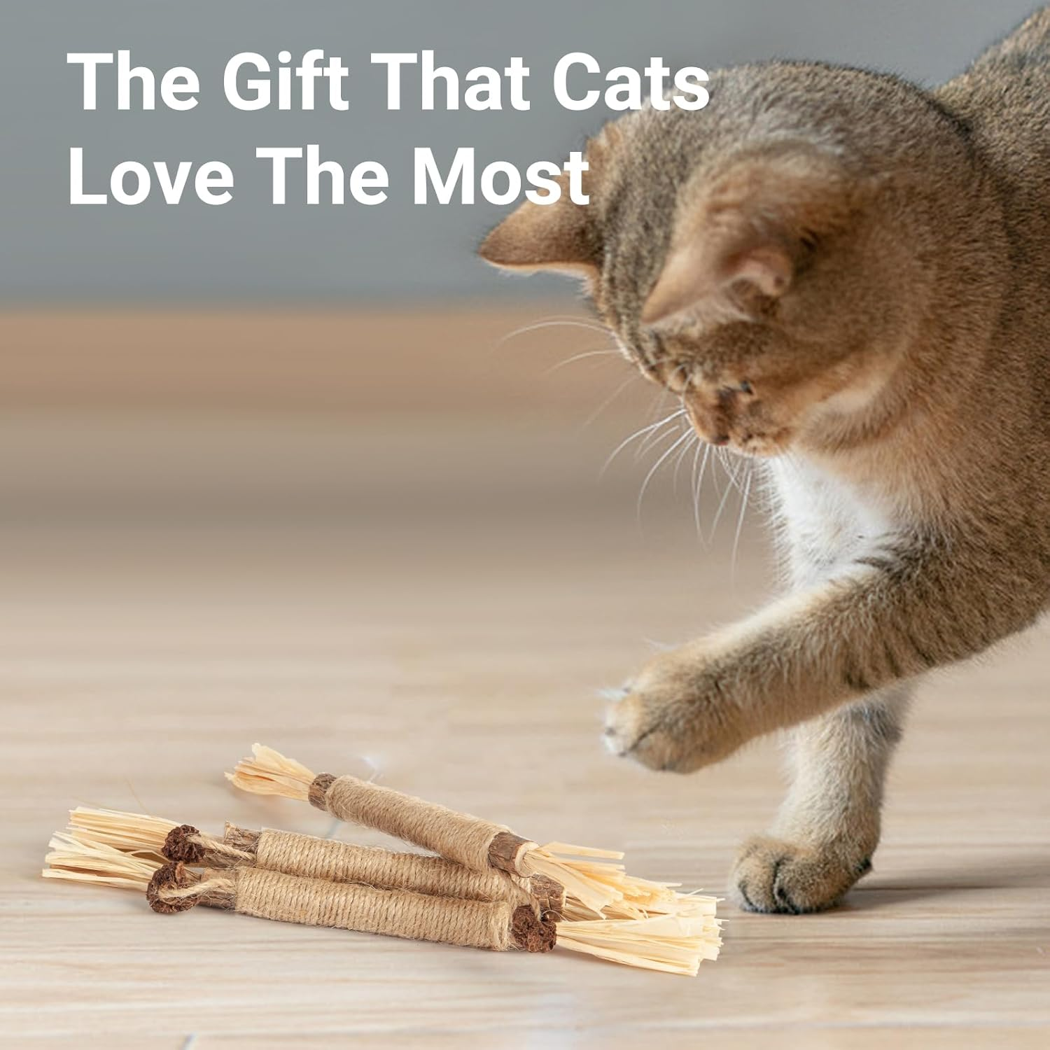 6 Pack Natural Silvervine Chew Sticks for Cats, Catnip Toys for Indoor Cats, Kitten Teeth Cleaning image number 6