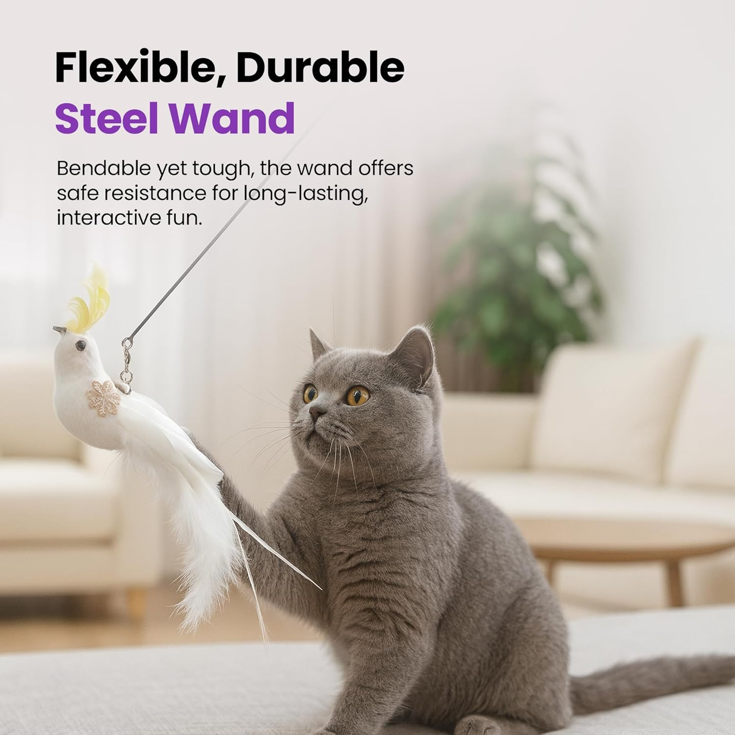 PURRZ Feather Toy Attachments for Cats, 5-Pack &ndash; Natural Cockatoo-Like Bird Feather Refills for Interactive Cat Play &ndash; Safe and Durable Indoor Cat Toys