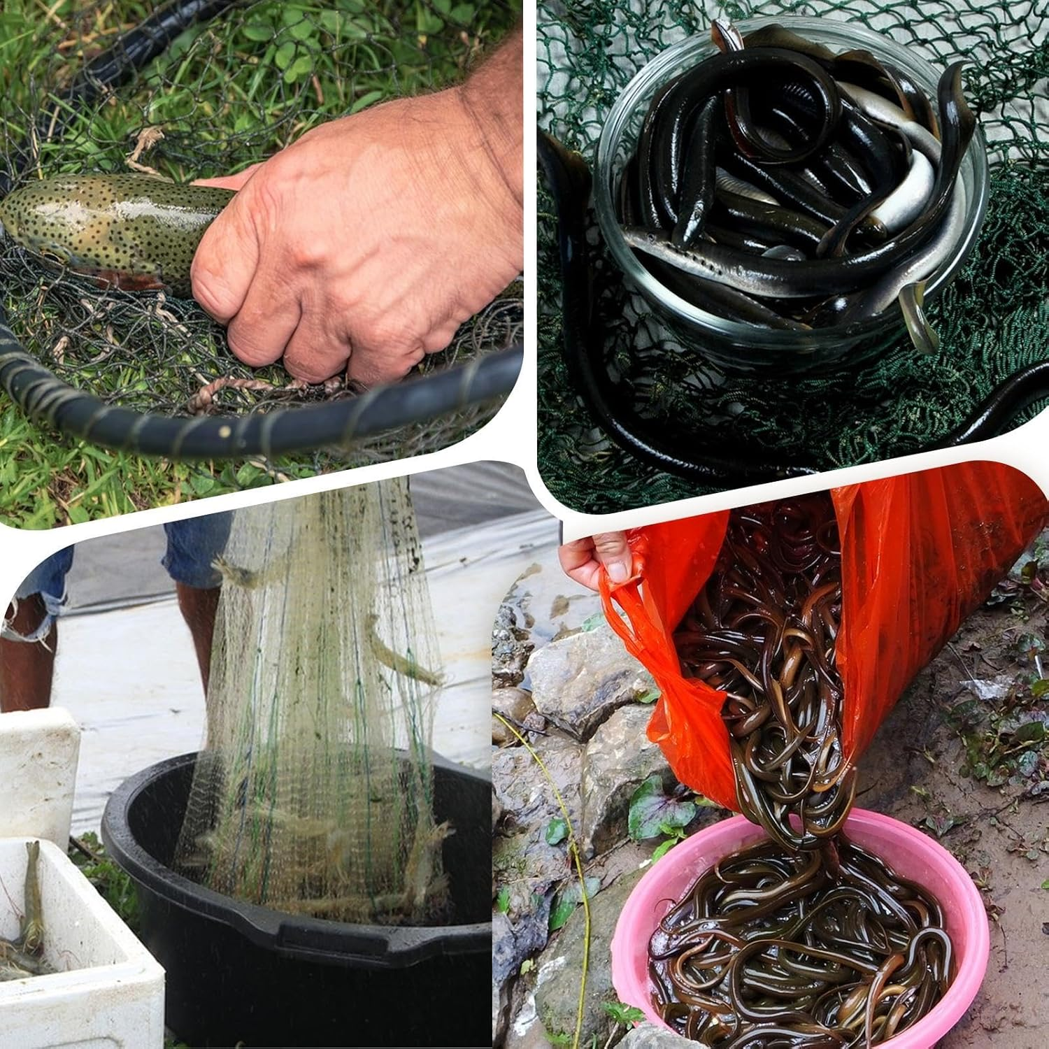 Fish Trap,Crab Trap with 3/8 Holes,Portable Fish Traps for Fishing,Fishing Bait Eel Trap,For Catching Small Fish,Crayfish,Crabs,Herring,Shrimp,Lobster image number 4