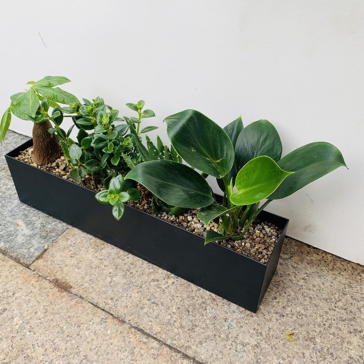 Modern Metal Steel Trough Planter - Rectangle Planters for Indoor Planters - 16" Window Sill Planters - Table or Window Boxes Planter - Windowsill Herb Planter image number 6