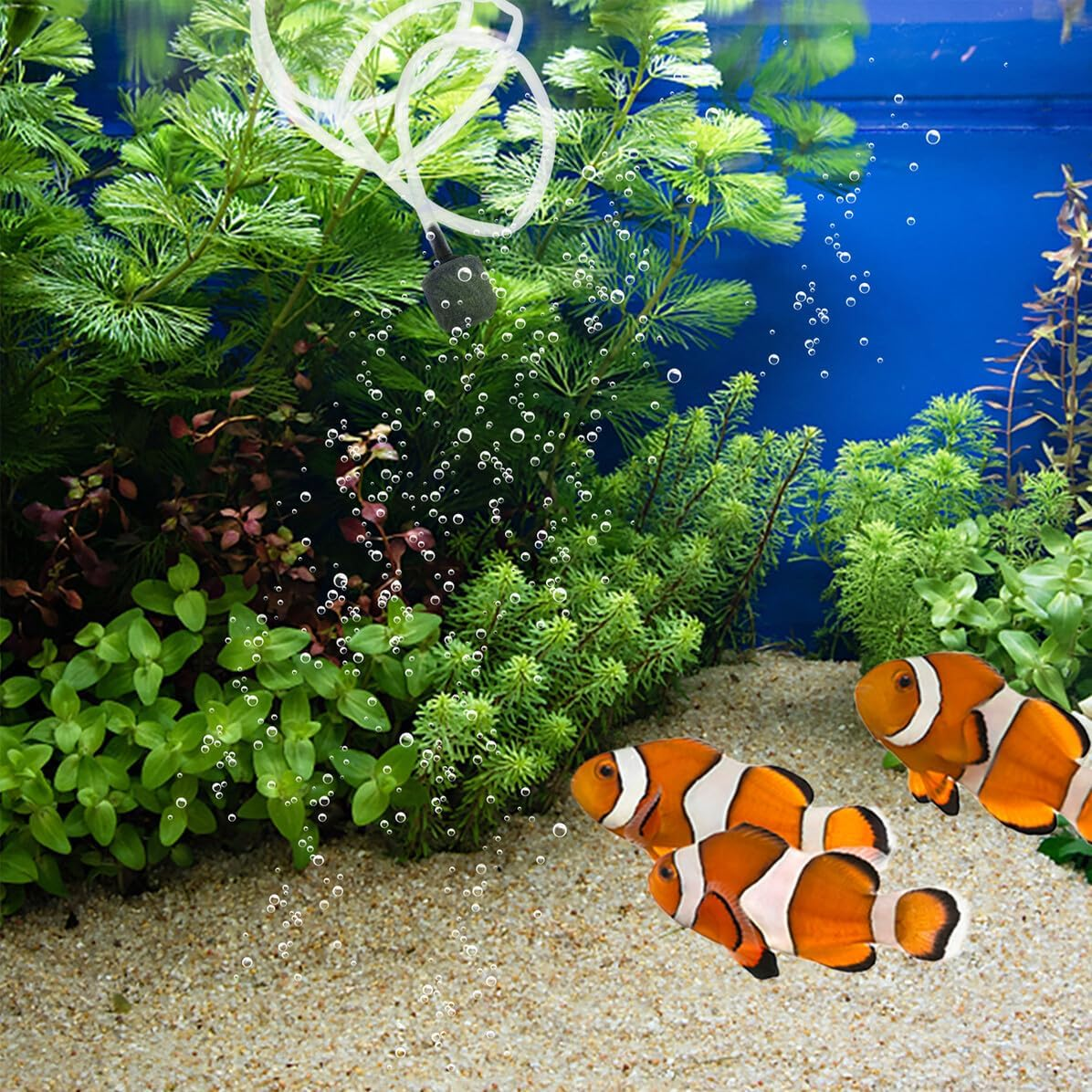 Portable USB Rechargeable Oxygen Pump for Fish Tank Aquarium Aeration Small Lightweight Air Pump Suitable for Various Tank Quiet and Easy to Use