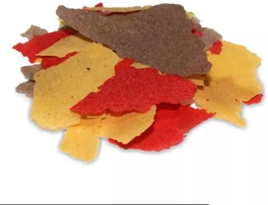 Prodac Goldfish Premium Flake Food, 50 Grams image number 4