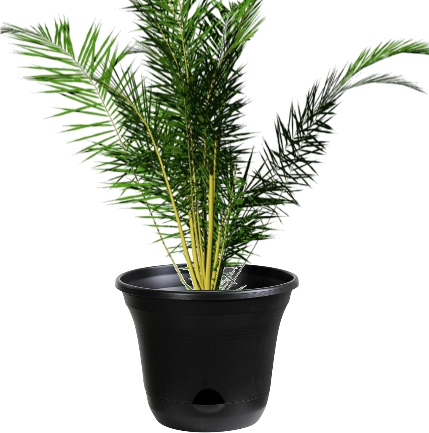 San Marino Lazy Planters - Self Watering Plant Pot Charcoal - Large Planter - Indoor & Outdoor (1 X 35Cm) image number 3