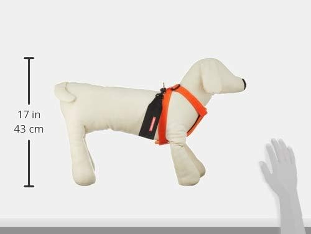 EZYDOG Harness for Medium Dogs, Orange, Size M image number 3