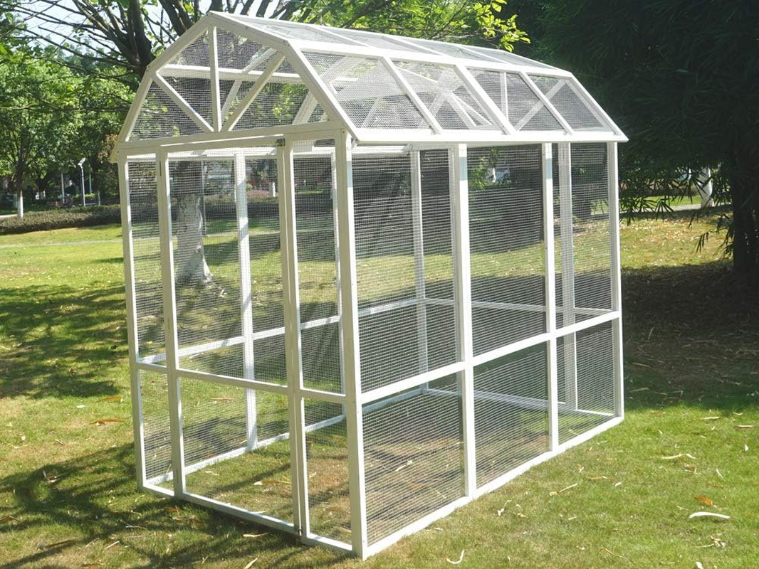 The Grand Barn Chicken Run image number 1