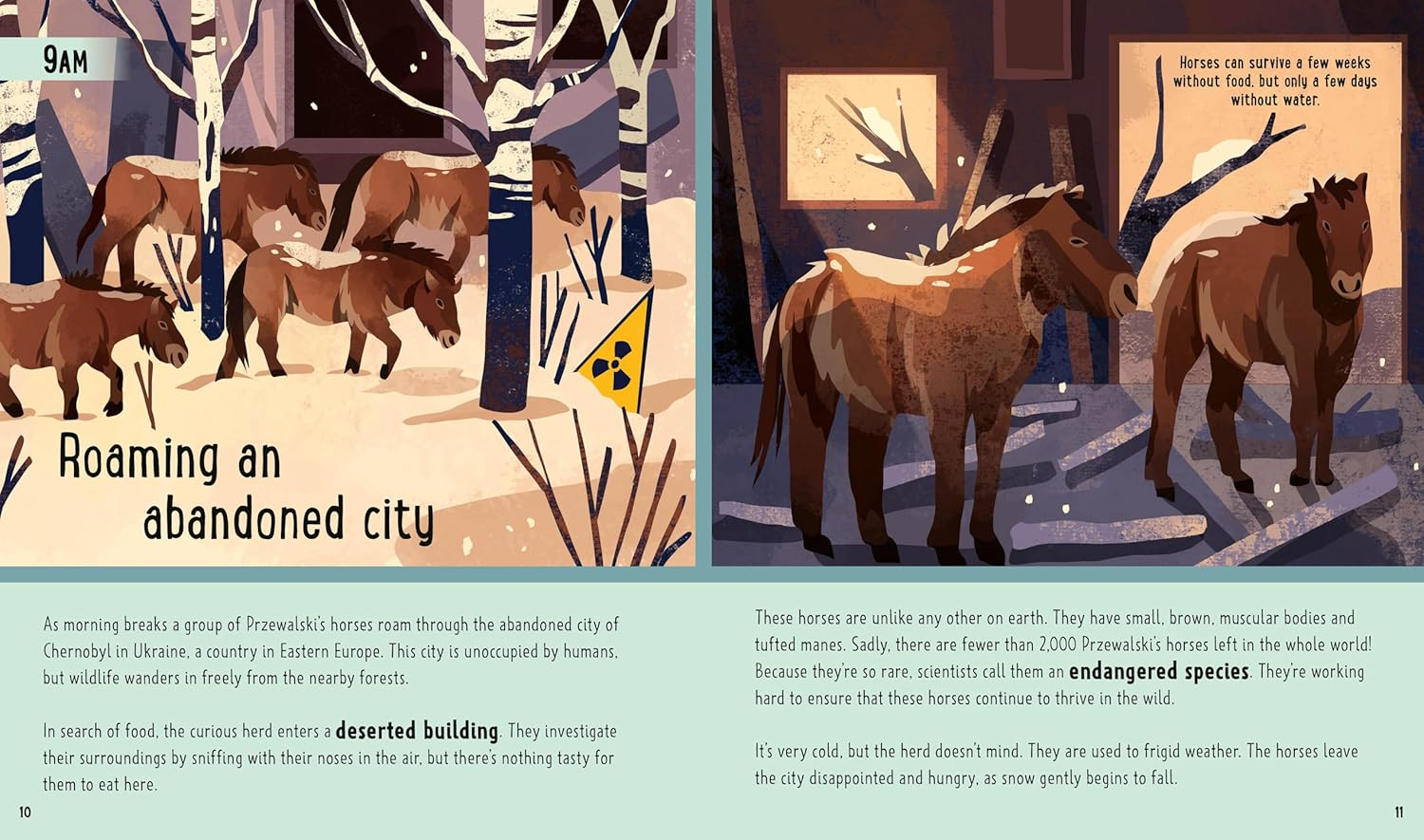 Horses (A Day in the Life): What Do Wild Horses like Mustangs and Ponies Get up to All Day?